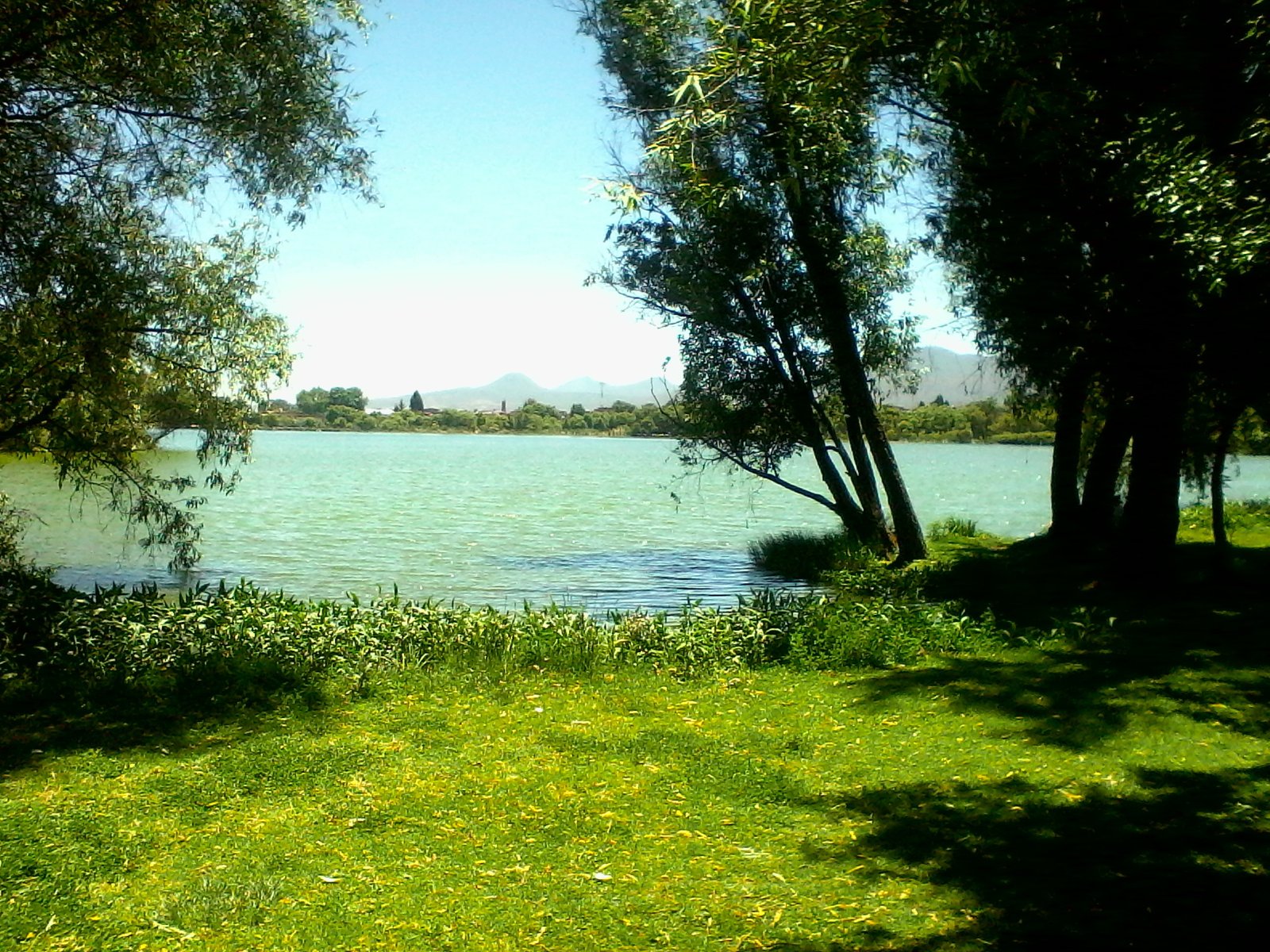Laguna de Zacapu